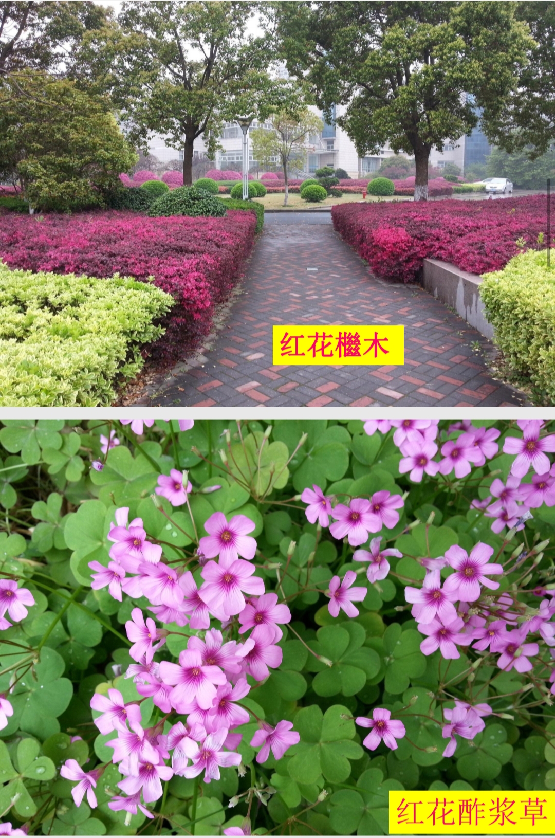 图示, 示意图 中度可信度描述已自动生成:ver1